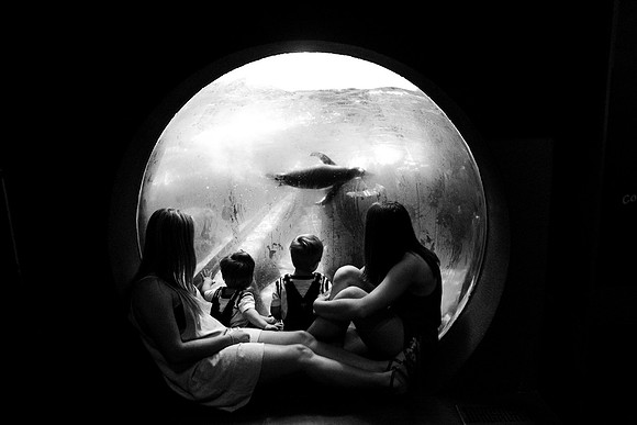 xAunties-135