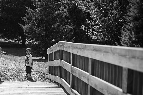 xLevi 3yr-8