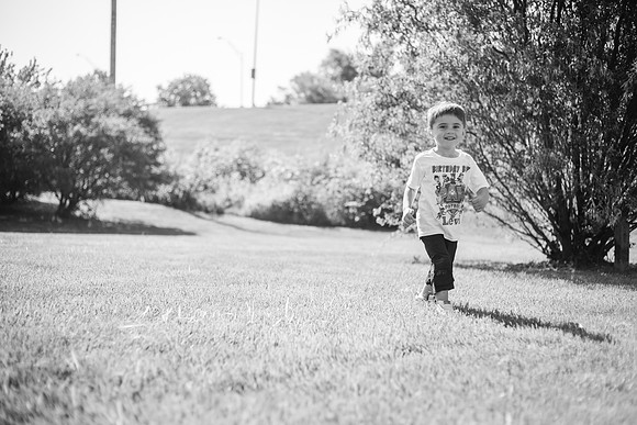 xLevi 3yr-36