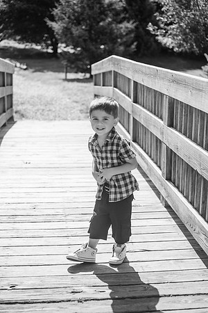 xLevi 3yr-74