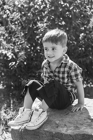 xLevi 3yr-173