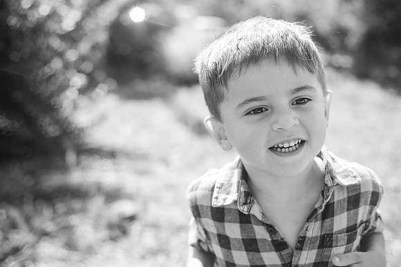 xLevi 3yr-175