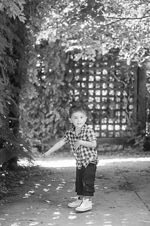 xLevi 3yr-180