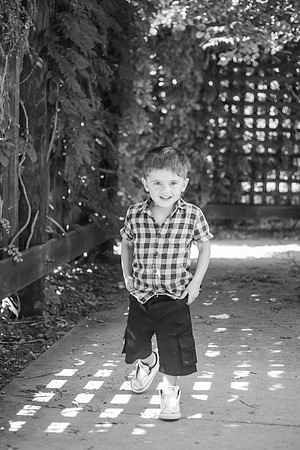 xLevi 3yr-182