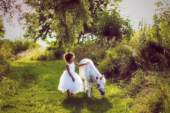 Unicorn-20