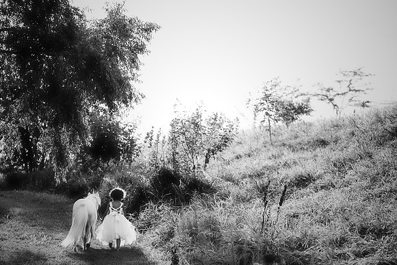 xUnicorn-17