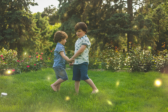 Fireflies 2019-26