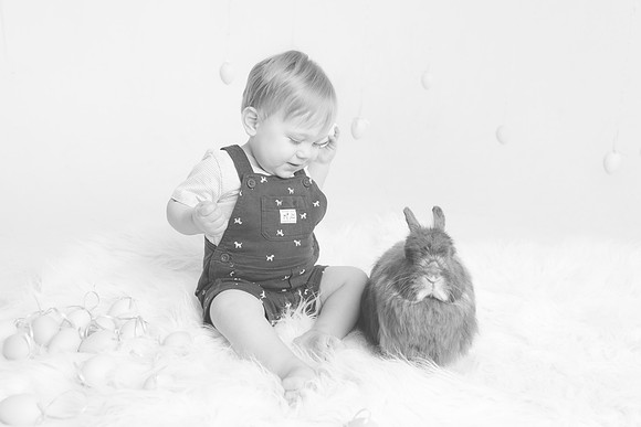 Toby-Bunny-2016-43