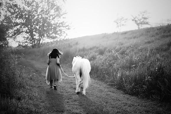 xUnicorn 2019-27