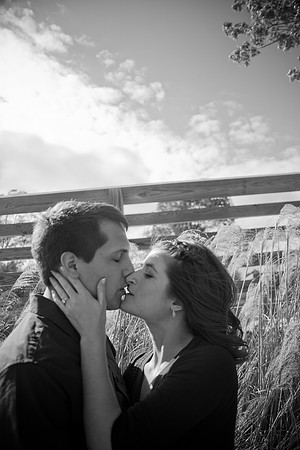Darcy + Alex  Engage-52