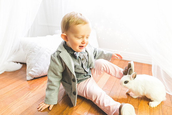 Bunnies 2019-37