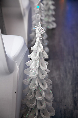 Wedding-496