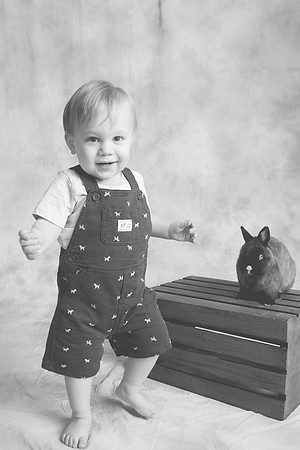 Toby-Bunny-2016-60
