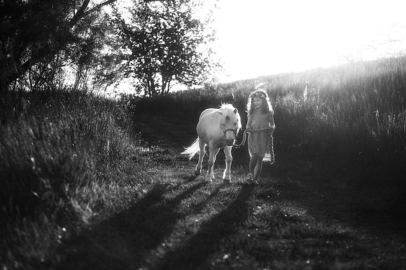 xUnicorn-24