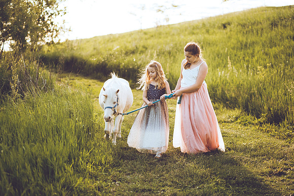 Unicorn-24