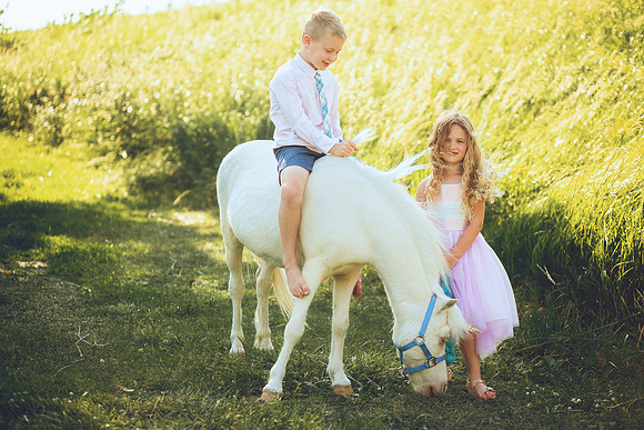 Unicorn-27