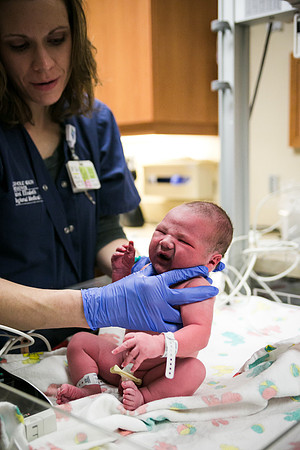Matthew Birth-357