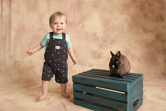 Toby-Bunny-2016-21