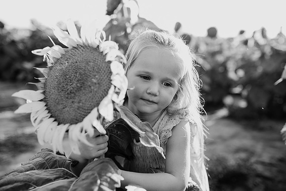 xSunflower 2022-74