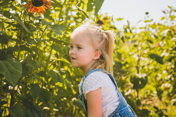 Sunflowers-40