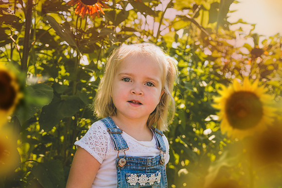 Sunflowers-41