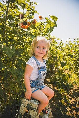 Sunflowers-43