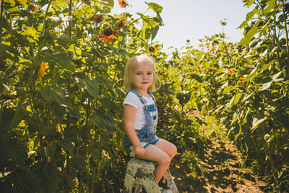 Sunflowers-45