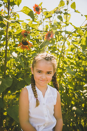 Sunflowers-54