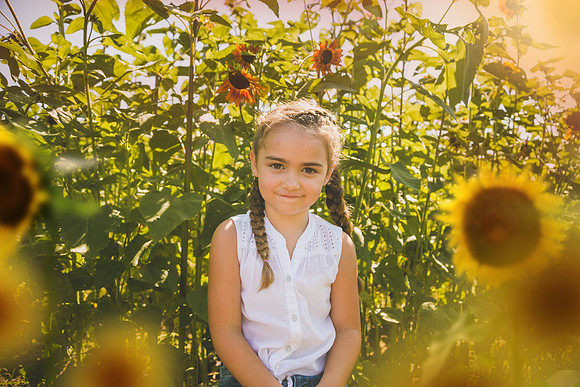 Sunflowers-56