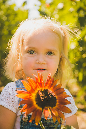 Sunflowers-63