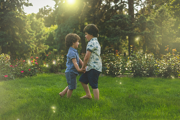 Fireflies 2019-28