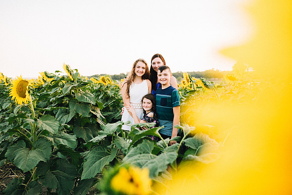 Sunflowers-22