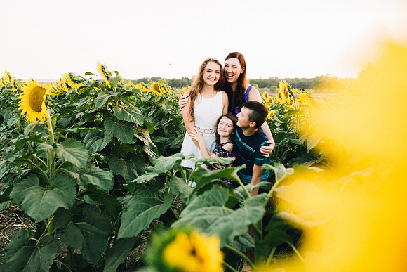 Sunflowers-25