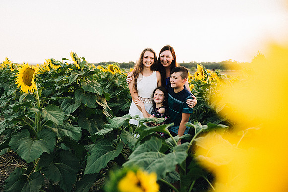 Sunflowers-26