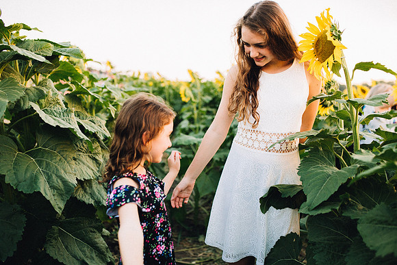 Sunflowers-37