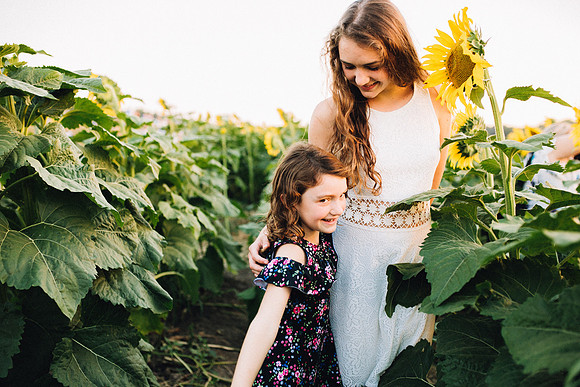 Sunflowers-38