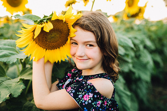 Sunflowers-53