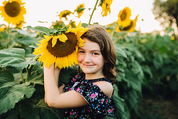 Sunflowers-54