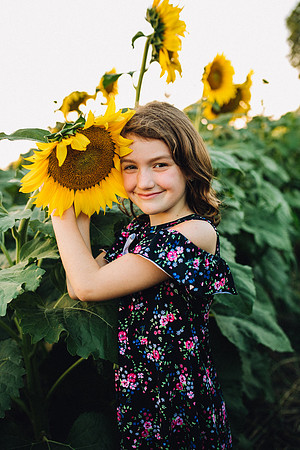 Sunflowers-55