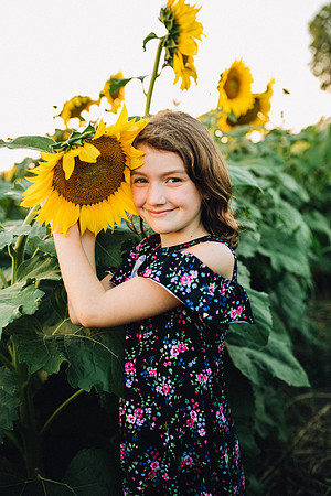 Sunflowers-56