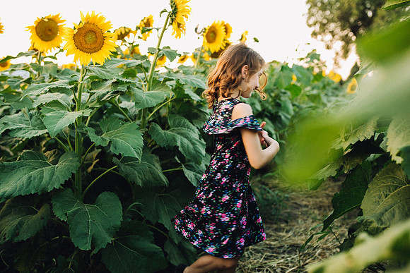 Sunflowers-58