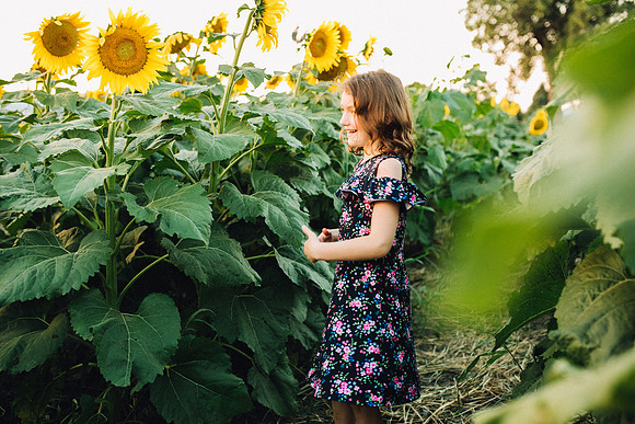 Sunflowers-59