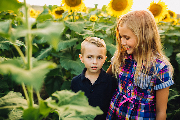 Sunflowers-8