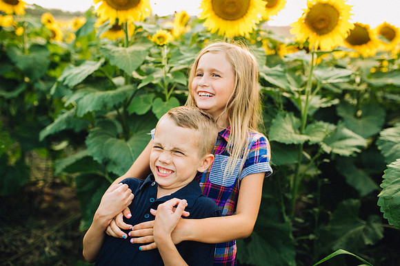 Sunflowers-10
