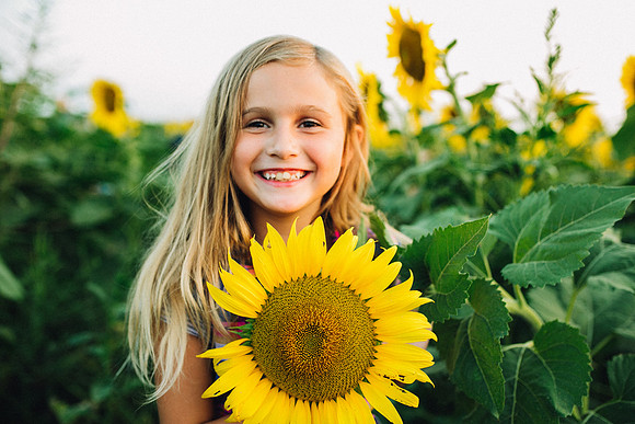 Sunflowers-11