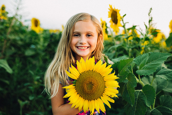 Sunflowers-12