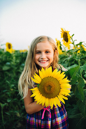 Sunflowers-13