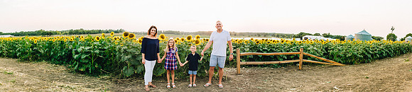 Sunflowers-46