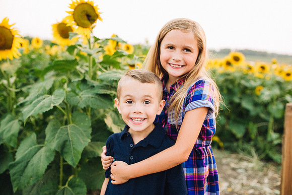 Sunflowers-71