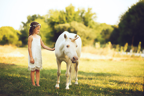 Unicorn-23